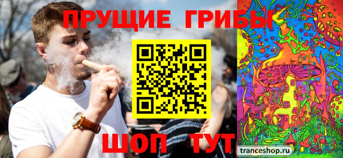 Галлюциногенные грибы Magic Shrooms  Псилоцибиновые грибы GOLDEN TEACHER  Кузнецк  Вход с VPN 