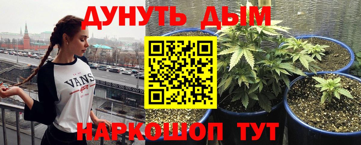 Бошки Шишки THC 21% Кузнецк